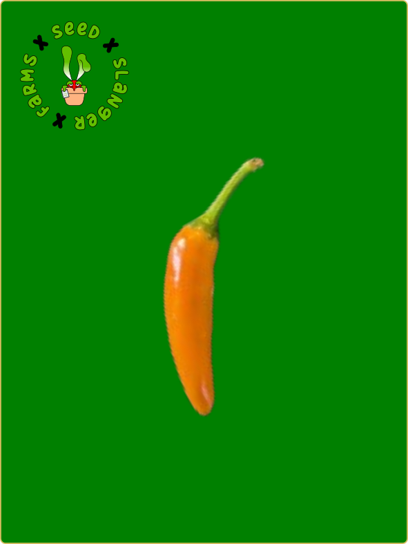 Bulgarian Carrot Pepper Seeds