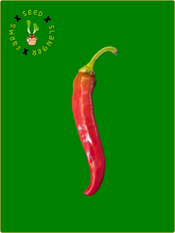 Red Ember Cayenne Pepper Seeds