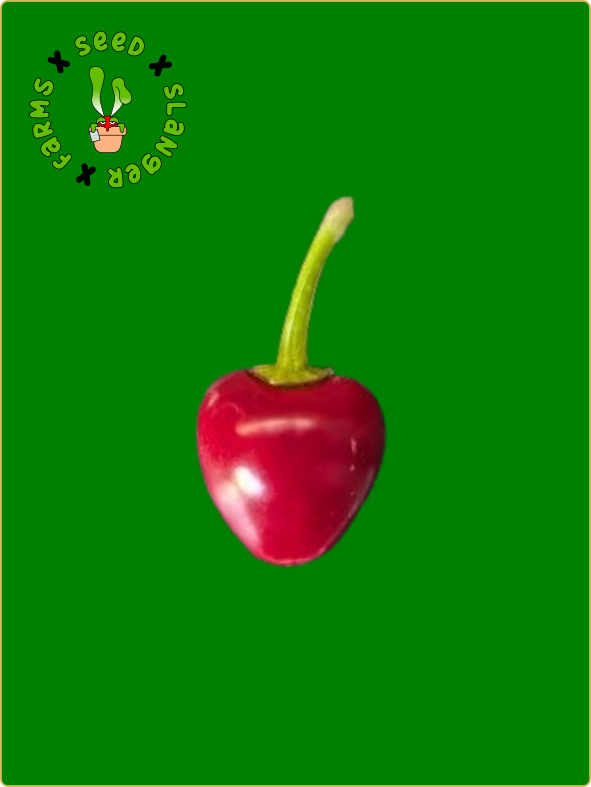 Time Bomb Cherry Pepper Seeds