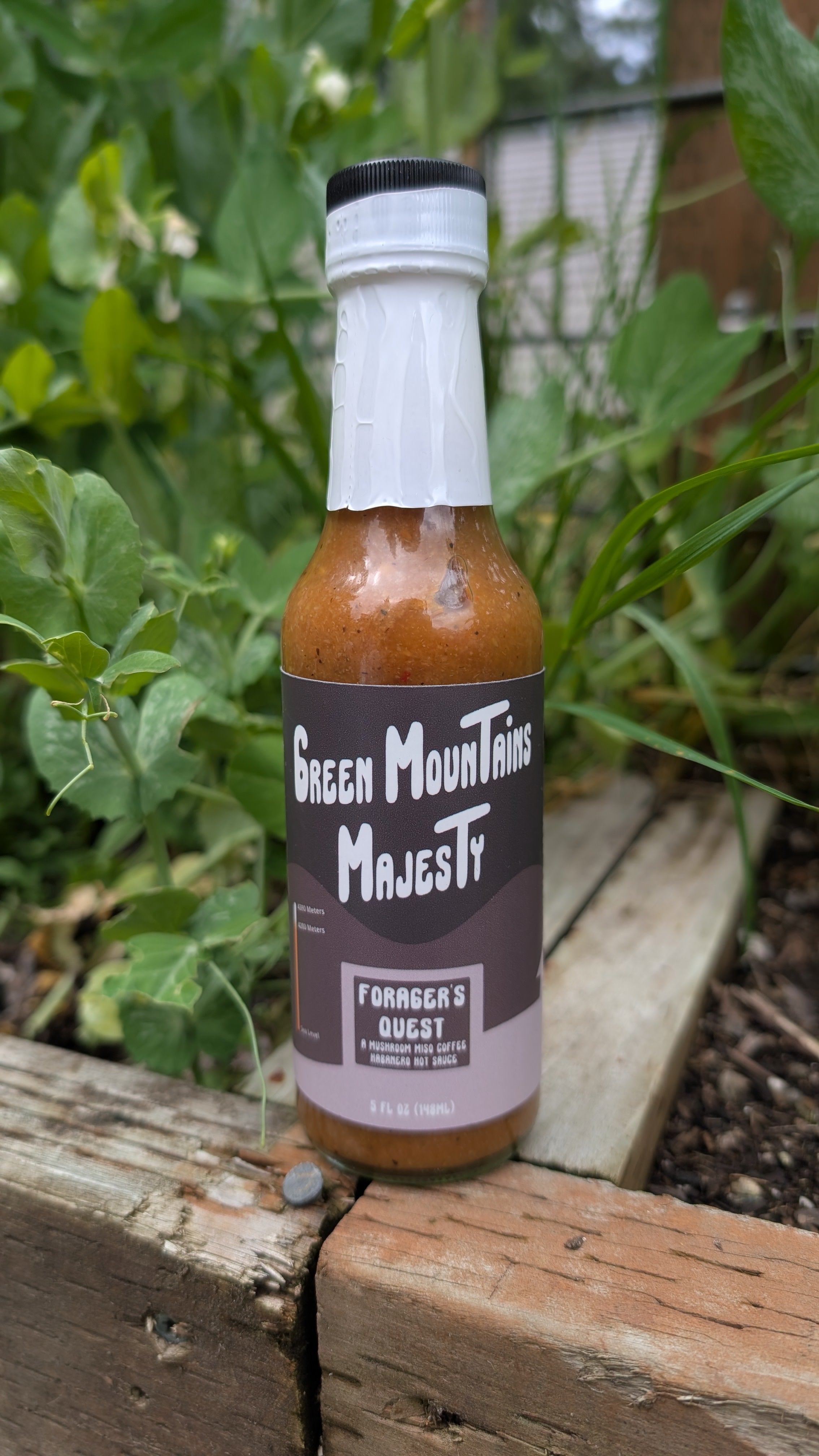 Green Mountain's Majesty Forager's Quest Mushroom, Miso, Coffee, and Habanero Hot Sauce