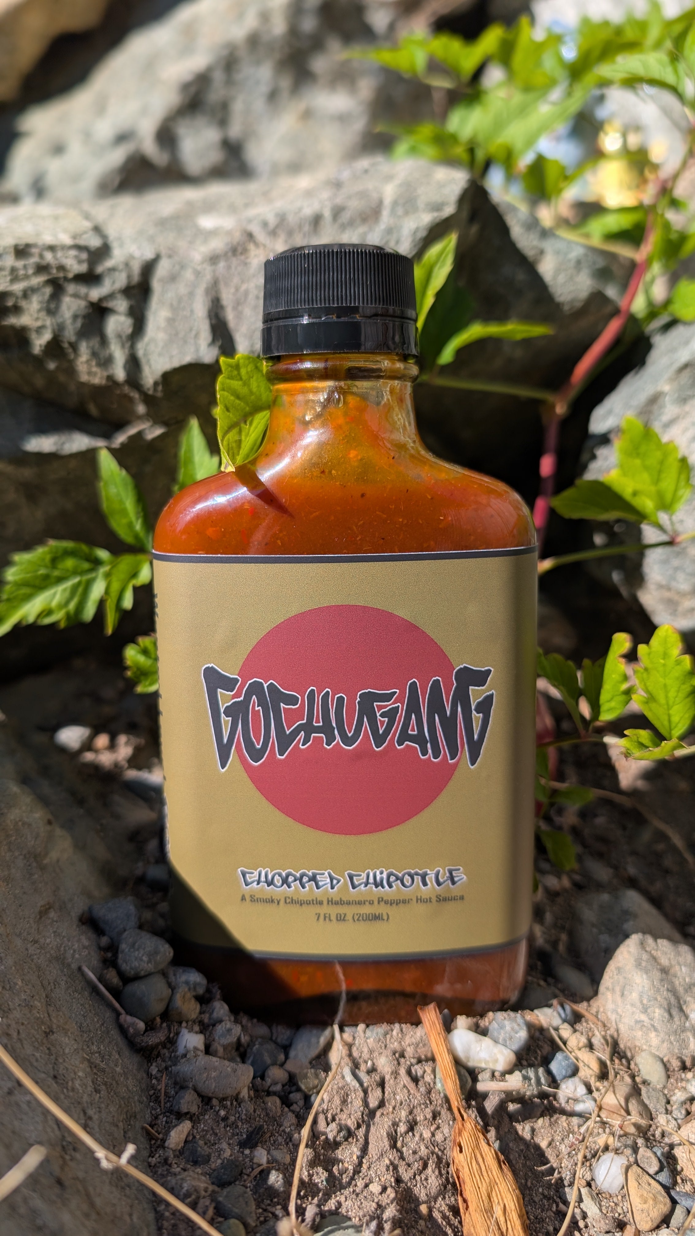 Gochugang Chopped Chipotle Hot Sauce